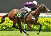 Lucky Xuan<br>Photo by Singapore Turf Club